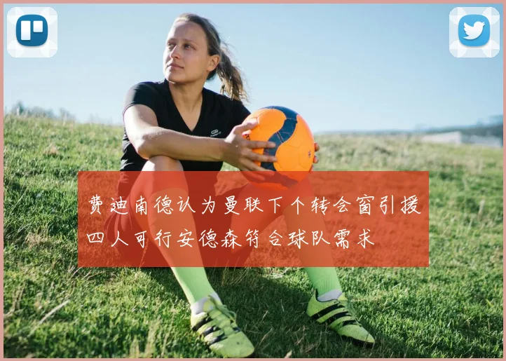 费迪南德认为曼联下个转会窗引援四人可行安德森符合球队需求