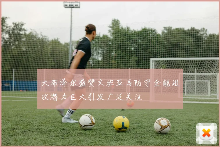 大布泽尔盛赞文班亚马防守全能进攻潜力巨大引发广泛关注