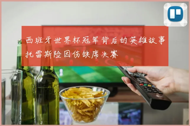 西班牙世界杯冠军背后的英雄故事托雷斯险因伤缺席决赛