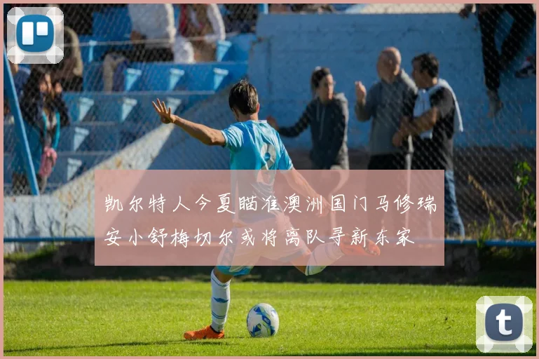凯尔特人今夏瞄准澳洲国门马修瑞安小舒梅切尔或将离队寻新东家