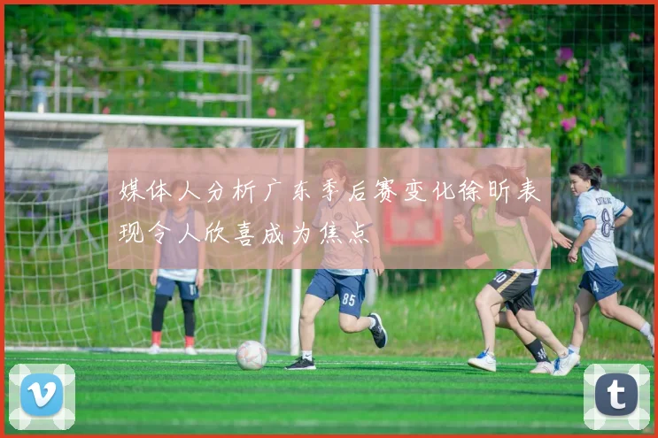 媒体人分析广东季后赛变化徐昕表现令人欣喜成为焦点